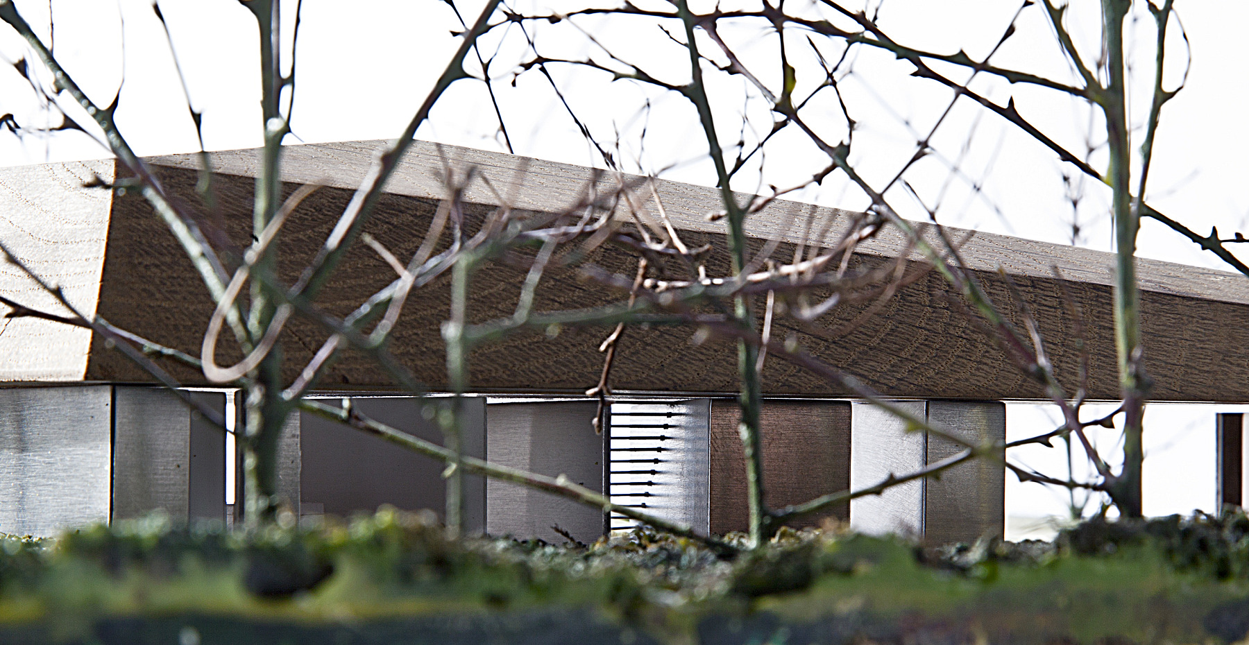 Maison Mouvaux, TANK Architectes